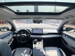Geely Xingrui 2.0T Diesel Premium - ფოტო 13