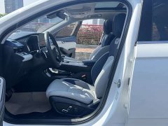 Geely Xingrui 2.0T Diesel Premium - ფოტო 4