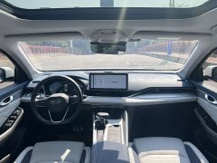 Geely Xingrui 2.0T Diesel Premium - ფოტო 9