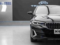 BMW 5 Series 2022 530Li Leading Edition Luxury Package - ფოტო 8