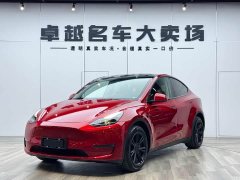 Tesla Model Y Long Range All-Wheel Drive - ფოტო 1