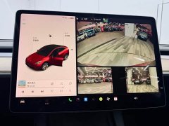 Tesla Model Y Long Range All-Wheel Drive - ფოტო 13