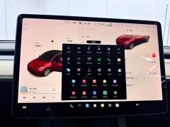Tesla Model Y Long Range All-Wheel Drive - ფოტო 14
