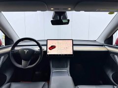 Tesla Model Y Long Range All-Wheel Drive - ფოტო 17