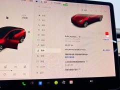 Tesla Model Y Long Range All-Wheel Drive - ფოტო 20