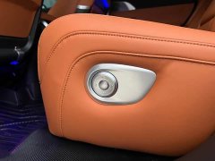 XPeng G9 2022 650 Performance Max - ფოტო 18