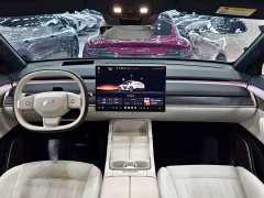 Nio Lerado L60 60kWh Rear-Wheel Drive - ფოტო 13