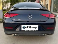 Mercedes-Benz CLS 300 Luxury - ფოტო 8