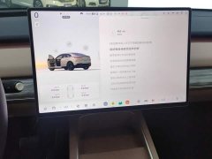 Nio Lerado L60 60kWh AWD - ფოტო 13
