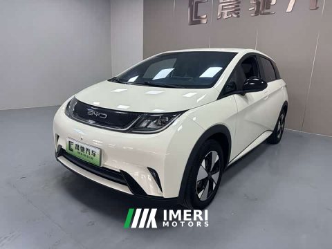 2024 BYD Dolphin 2023 420km Freedom Edition - ავტომობილი ჩინეთიდან