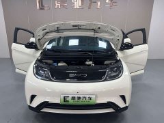 BYD Dolphin 2023 420km Freedom Edition - ფოტო 17