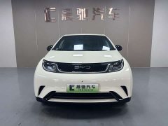 BYD Dolphin 2023 420km Freedom Edition - ფოტო 2