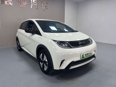 BYD Dolphin 2023 420km Freedom Edition - ფოტო 3