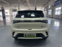 BYD Dolphin 2023 420km Freedom Edition - ფოტო 5