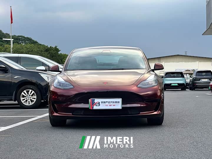 Tesla Model 3 Standard Range RWD Upgrade 3D6 - ავტომობილი ჩინეთიდან
