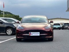 Tesla Model 3 Standard Range RWD Upgrade 3D6 - ფოტო 1