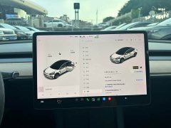 Tesla Model 3 Standard Range RWD Upgrade 3D6 - ფოტო 10