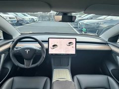 Tesla Model 3 Standard Range RWD Upgrade 3D6 - ფოტო 12