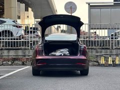 Tesla Model 3 Standard Range RWD Upgrade 3D6 - ფოტო 6