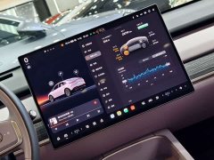 Nio Lerado L60 2024 60kWh Rear-Wheel Drive - ფოტო 15