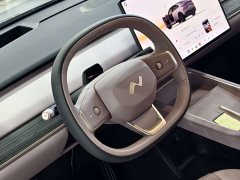 Nio Lerado L60 2024 60kWh Rear-Wheel Drive - ფოტო 8