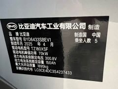BYD Yuan UP 2024 401KM Vitality Edition - ფოტო 18