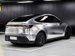 Tesla Model Y Rear-Wheel Drive - ფოტო 19