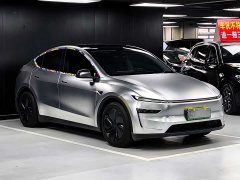 Tesla Model Y Rear-Wheel Drive - ფოტო 3