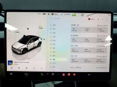 Tesla Model Y Rear-Wheel Drive - ფოტო 6