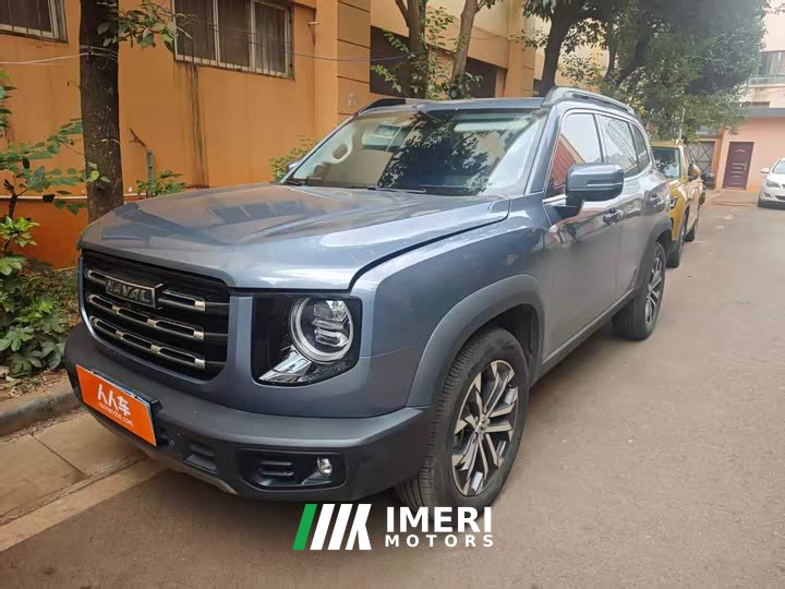 Great Wall Dachshund 1.5T DCT Two-Wheel Drive Border Collie-Wangcai Edition - ავტომობილი ჩინეთიდან