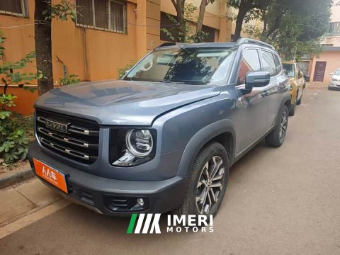 2021 Great Wall Dachshund 1.5T DCT Two-Wheel Drive Border Collie-Wangcai Edition - ავტომობილი ჩინეთიდან