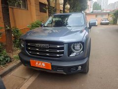 Great Wall Dachshund 1.5T DCT Two-Wheel Drive Border Collie-Wangcai Edition - ფოტო 2
