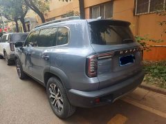 Great Wall Dachshund 1.5T DCT Two-Wheel Drive Border Collie-Wangcai Edition - ფოტო 6
