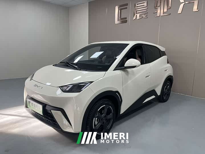 BYD Seagull 2023 Flying Edition - ავტომობილი ჩინეთიდან