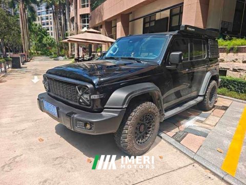 2022 Tank 300 2021 Off-Road Edition 2.0T Conqueror - ავტომობილი ჩინეთიდან