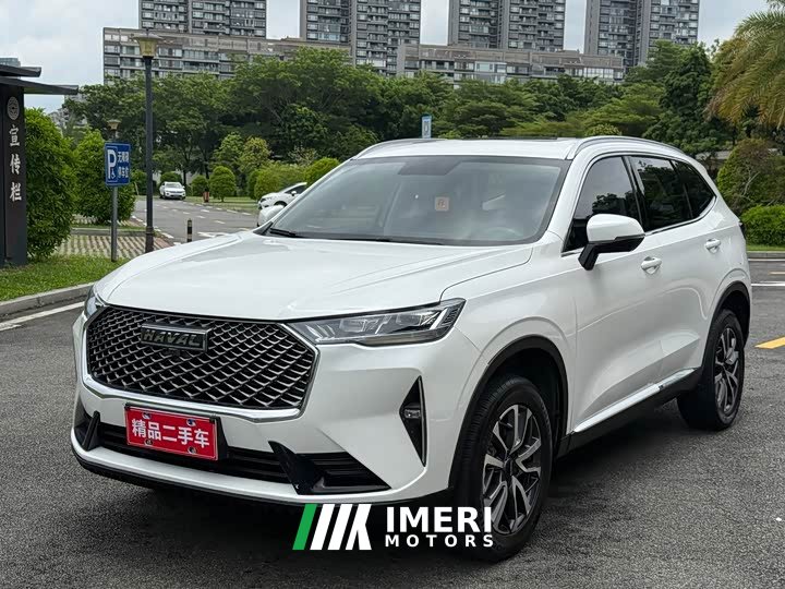 Haval H6 2021 Third Generation 1.5T Automatic Two-Wheel Drive Pro - ავტომობილი ჩინეთიდან