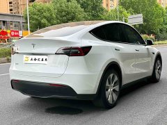 Tesla Model Y Long Range All-Wheel Drive 3D7 - ფოტო 4