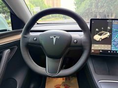 Tesla Model Y Long Range All-Wheel Drive 3D7 - ფოტო 8