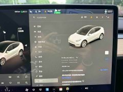 Tesla Model Y Long Range All-Wheel Drive 3D7 - ფოტო 12