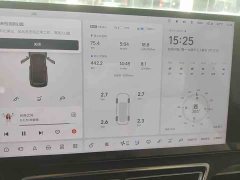 Li Auto L8 Pro - ფოტო 4