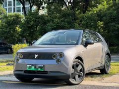 Nio Firefly 2025 Luminous Edition - ფოტო 1