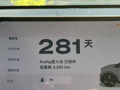 Nio Firefly 2025 Luminous Edition - ფოტო 12
