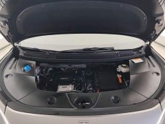 BYD Summer DM-i 1.5T 180km Exceed - ფოტო 10