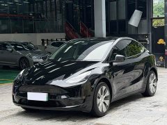 Tesla Model Y Standard Range RWD - ფოტო 1