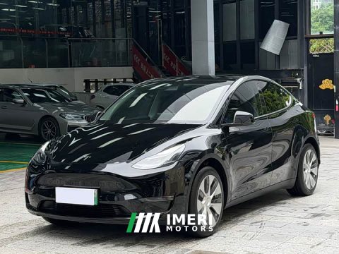 2021 Tesla Model Y Standard Range RWD - ავტომობილი ჩინეთიდან