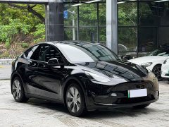 Tesla Model Y Standard Range RWD - ფოტო 3