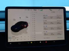 Tesla Model Y Rear-Wheel Drive - ფოტო 8