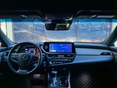 Lexus ES 2022 300h Excellence Edition - ფოტო 10