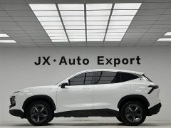 Jetour Jietu Dasheng 1.5T Manual Star Shine - ფოტო 11
