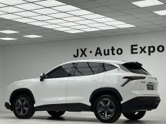 Jetour Jietu Dasheng 1.5T Manual Star Shine - ფოტო 12